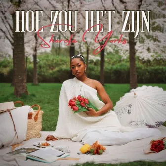 Hoe Zou Het Zijn by Sherefa Yorks