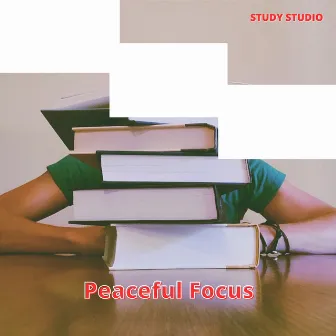 Peaceful Focus: Soothing Study Environment by Study Studio