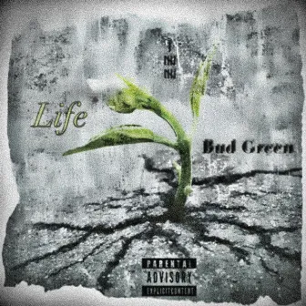 Life by Bud Green