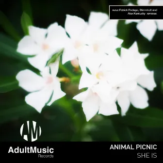 She Is by Animal Picnic