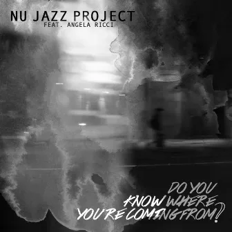 Do You Know Where You're Coming from? by Nu Jazz Project