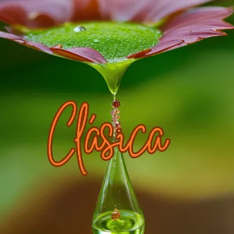 Clásica by Aldus