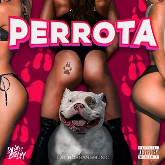 Perrota by DaBolyy