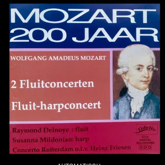 Concert voor fluit by Raymond Delnoye