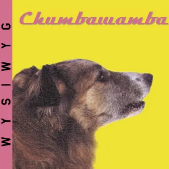 Wysiwyg by Chumbawamba