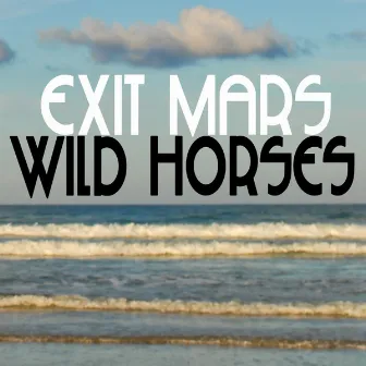 Wild Horses by Exit Mars