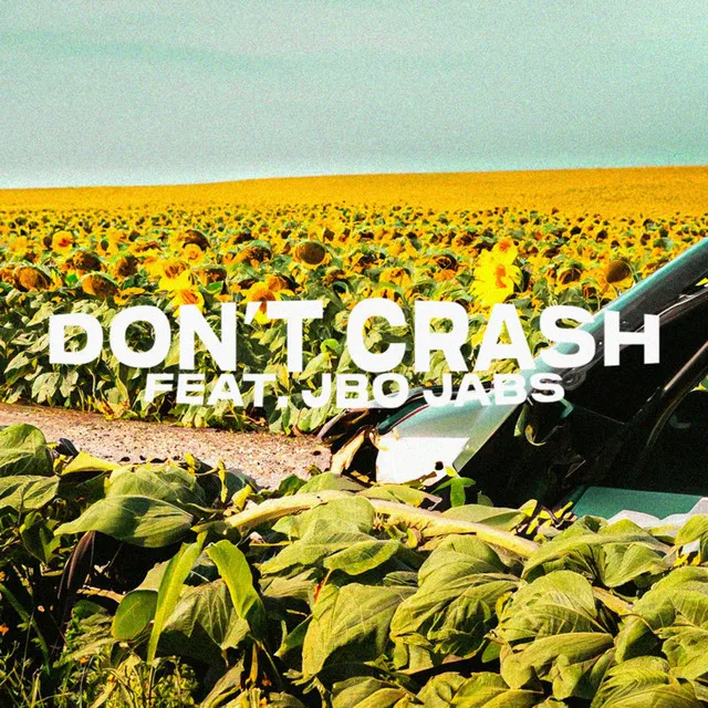 Don't Crash