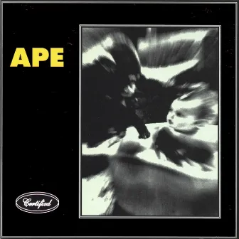 Ape by Ape