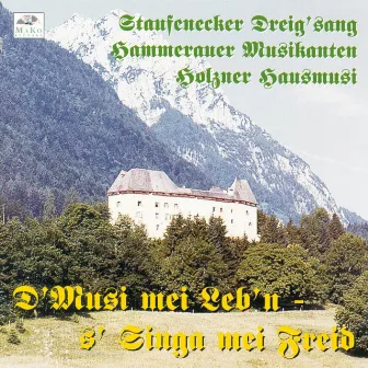 D'Musi mei Leb'n, s' Singa mei Freid by Hammerauer Musikanten