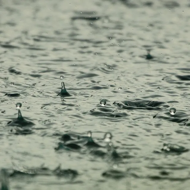 Ambient Forest: Rain Fall in the Tropics