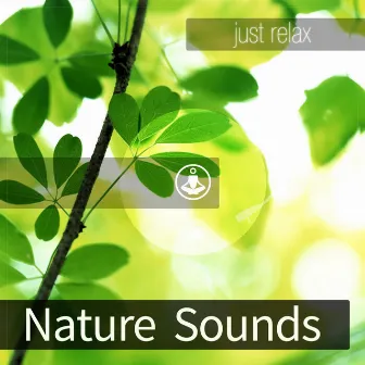 Nature Sounds by Tracks of Nature