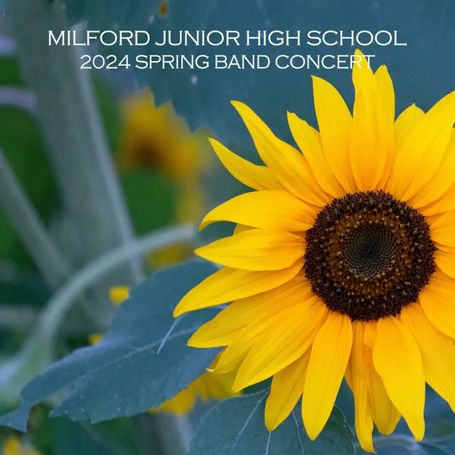 Milford Junior High School 2024 Spring Band Concert (Live)