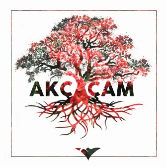 Akçaçam by Tuva