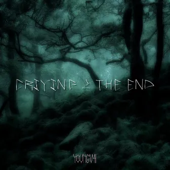 Criying 2 the End by YOUNGV4