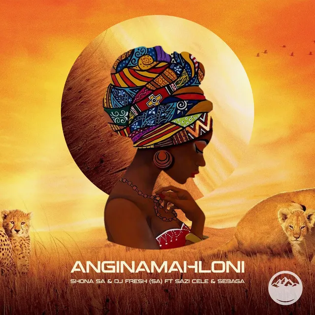 Anginamahloni (Instrumental)