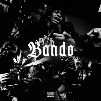 BANDO by Zequin