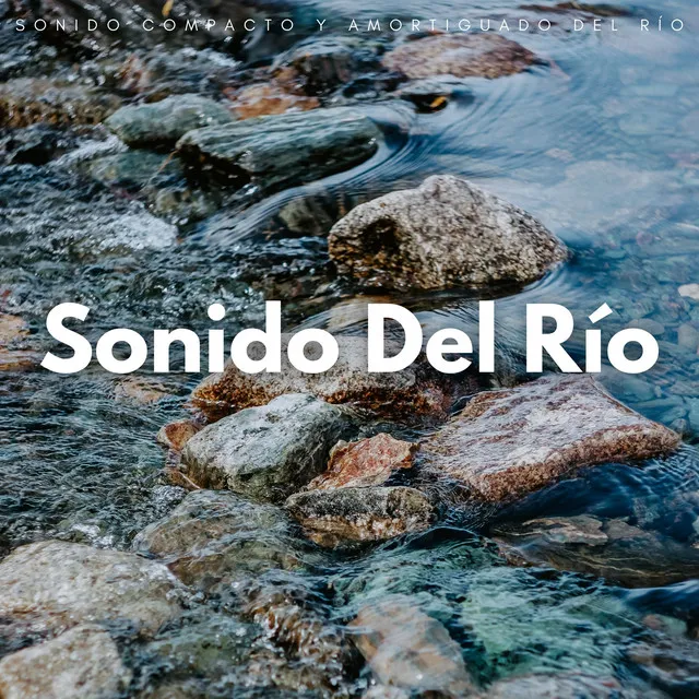 Sonido Compacto Y Amortiguado Del Río