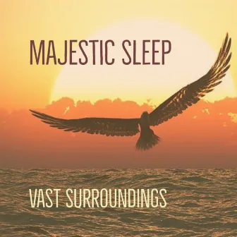 Vast Surroundings by Majestic Sleep