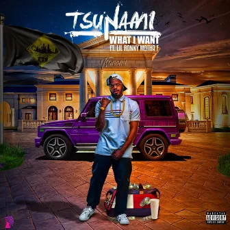 What I Want by Tsunami