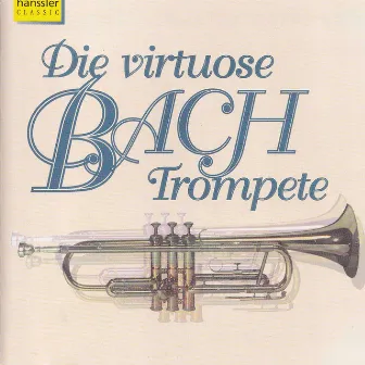 Bach: Works by Karl-Friedrich Beringer