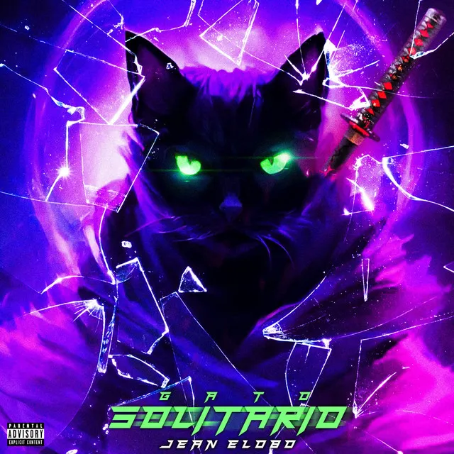 GATO SOLITARIO