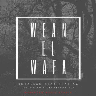 Wean El Wafa by Emsallam