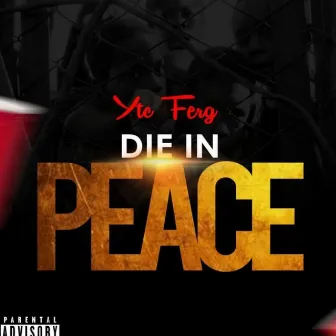 Die in Peace by YTC Ferg