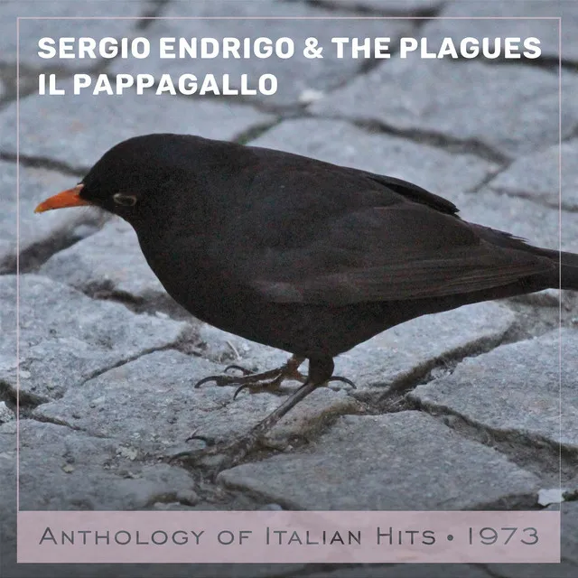 Il pappagallo - Anthology of Italian Hits 1973