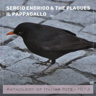 Il pappagallo by The Plagues