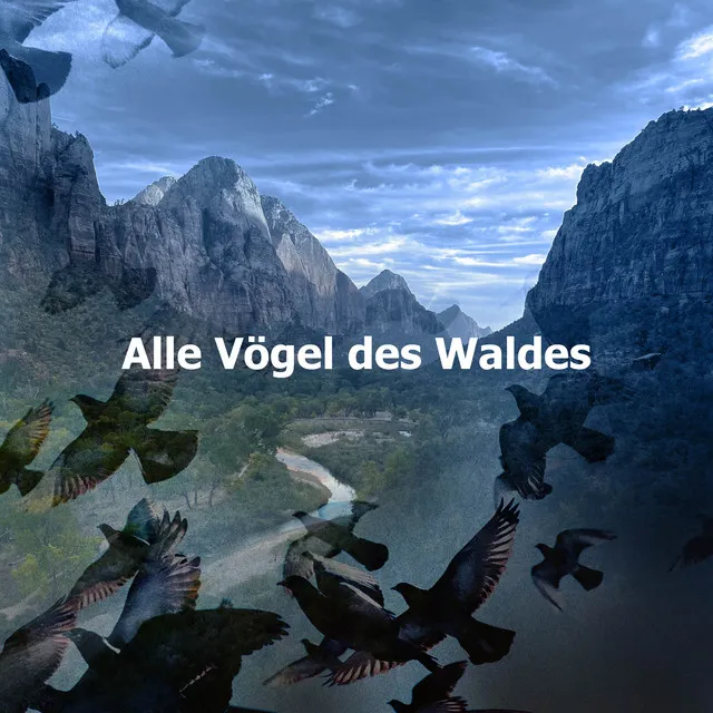 Alle Vögel des Waldes