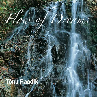 Flow of Dreams by Tõnu Raadik