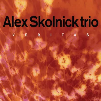 Veritas by Alex Skolnick