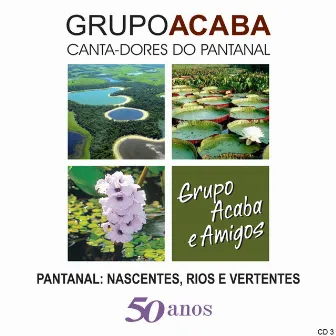 Pantanal: Nascentes, Rios e Vertentes 50 Anos - CD 3 by Grupo Acaba