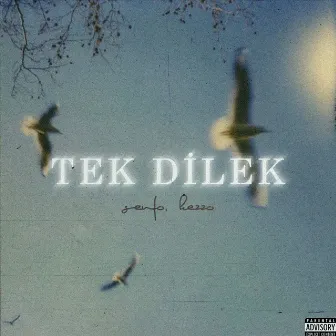 Tek Dilek by SENFO