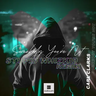 Somebody You're Not (Stupid Whizkid Remix) by Stupid Whizkid