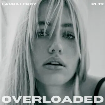 Overloaded by Laura LeRoy