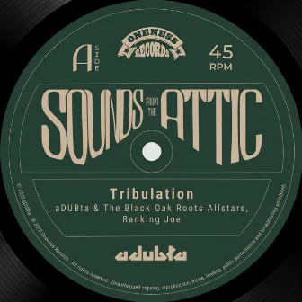 Tribulation by the Black Oak Roots Allstars