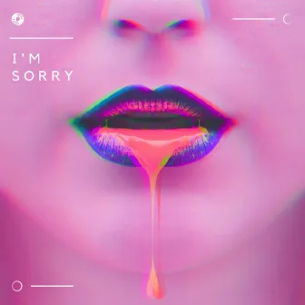 I'm Sorry by Palmiyo