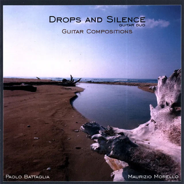 Drops And Silence - Guitar Compositions