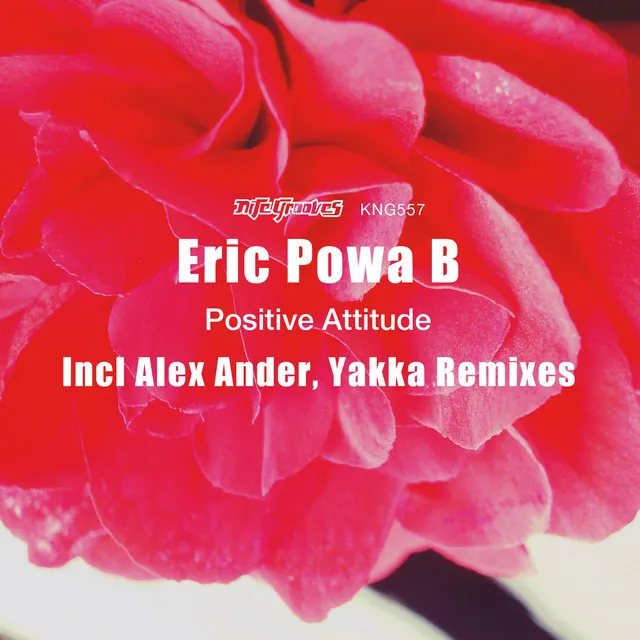 Positive Attitude - Alex Ander Roots Mix