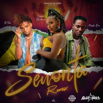 Senorita (Remix) by Maestro Don