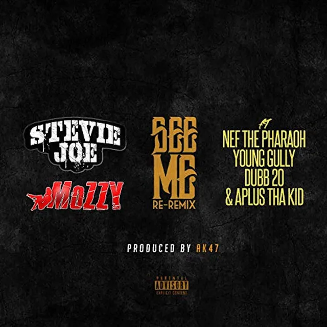 See Me (feat. Nef the Pharaoh, Young Gully, Dubb 20 & Aplus Tha Kid) - Remix