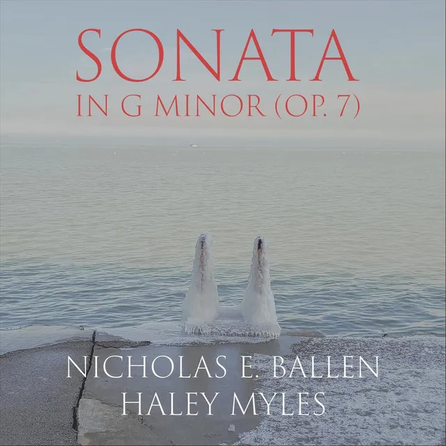 Sonata in G Minor, Op. 7: I. Allegretto