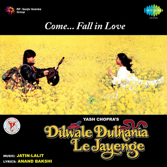 Dilwale Dulhania Le Jayenge - Dialogues