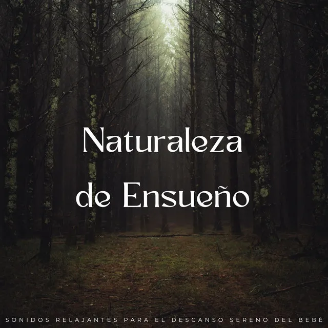 Sonidos de la naturaleza báltica