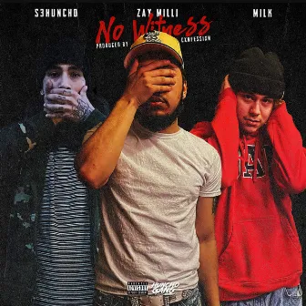 No Witness by Zay Milli