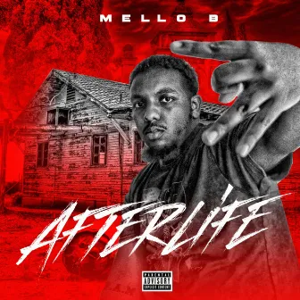 Afterlife by Mello B