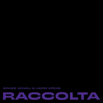 Raccolta by Herr König