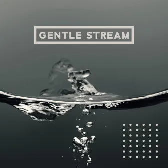 Gentle Stream: Zen Relaxing Nature Sounds by Sarah Samadhi