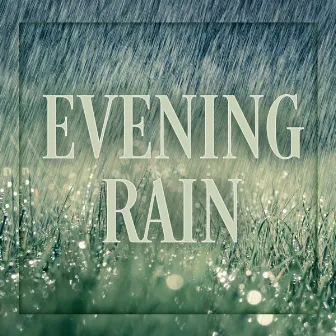 Evening Rain by Natural Soundscape Society